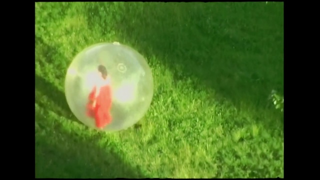Video Reference N0: Green, Nature, Grass, Lawn, Natural environment, Leaf, Circle, Ball, Organism, Font