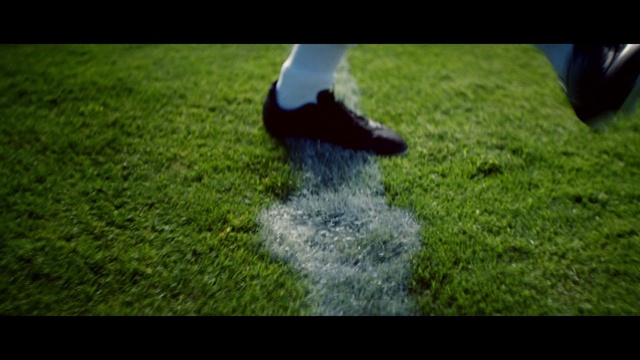 Video Reference N1: Lawn, Grass, Green, Nature, Artificial turf, Footwear, Grass, Water, Leaf, Shoe