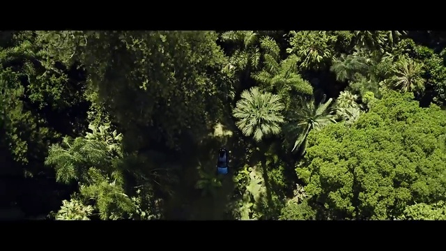 Video Reference N1: Nature, Vegetation, Natural environment, Tree, Forest, Jungle, Rainforest, Green, Leaf, Biome