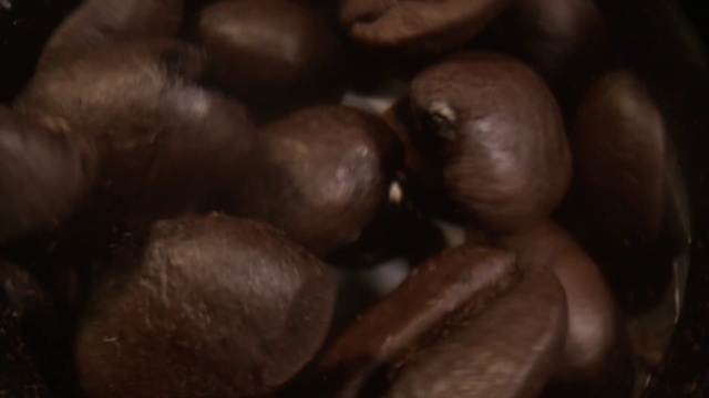 Video Reference N8: Brown, Food, Chestnut, Chocolate, Nut, Close-up, Hazelnut, Plant, Photography, Superfood