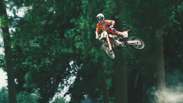 Video Reference N5: motocross, tree, extreme sport, freeride, woody plant, freestyle motocross, motorsport, stunt performer, racing, forest