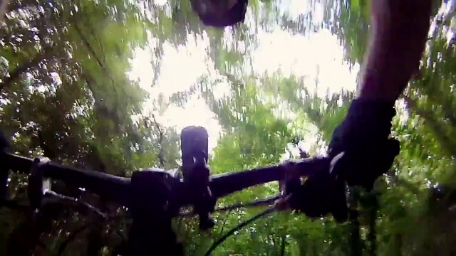 Video Reference N2: Nature, Tree, Sunlight, Jungle, Forest, Downhill mountain biking, Mountain biking, Woodland, Mountain bike, Branch