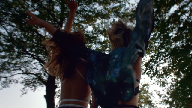 Video Reference N1: tree, woody plant, girl, fun, plant, sky, sunlight, branch
