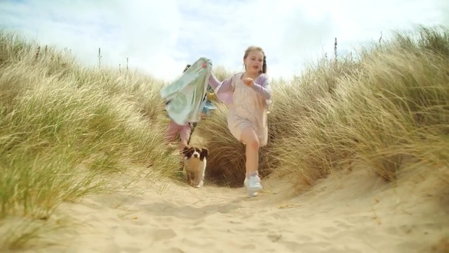Video Reference N2: sand, vacation, grass, grass family, dune, summer, fun, sky, landscape, ecoregion