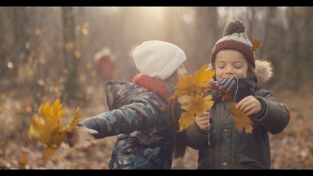 Video Reference N7: Child, Photography, Fun, Happy, Plant, Autumn, Smile, Play, Art, Person