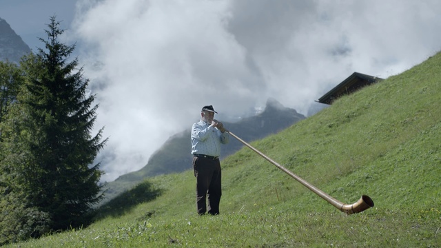 Video Reference N3: Alphorn, Highland, Grassland, Hill station, Hill, Mountain range, Grass, Pasture, Cloud, Mountain