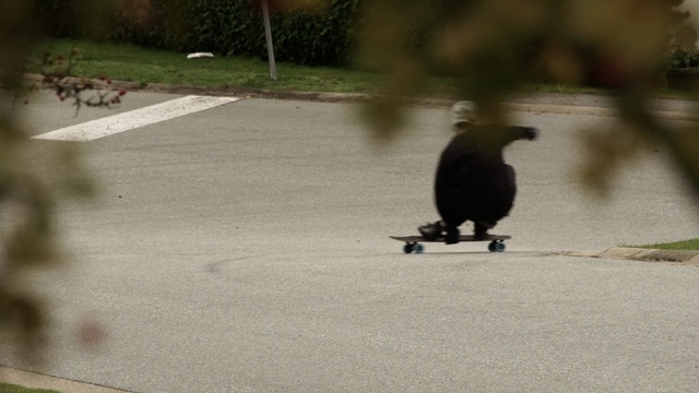 Video Reference N1: fauna, bird, beak, longboarding, skateboarding, skateboard, shadow, skateboarding equipment and supplies, grass, longboard, Person