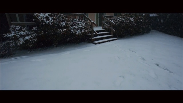 Video Reference N7: snow, winter, white, black, freezing, mode of transport, light, winter storm, geological phenomenon, frost
