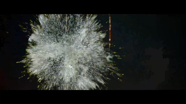 Video Reference N1: Nature, Darkness, Fireworks, Organism, Midnight, Sky, Space, Event, Plant, Holiday, Person