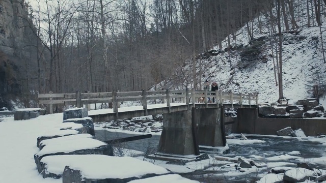 Video Reference N2: snow, winter, freezing, geological phenomenon, water, tree, ice, frost, river