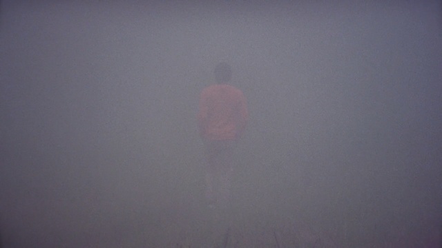 Video Reference N0: atmosphere, sky, purple, mist, fog, computer wallpaper