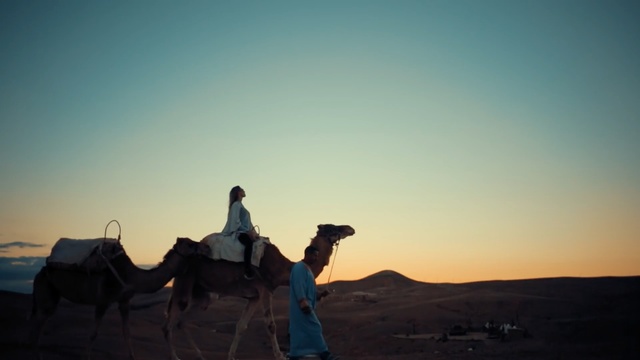 Video Reference N2: Camel, Desert, Natural environment, Sky, Sahara, Aeolian landform, Landscape, Camelid, Arabian camel, Erg