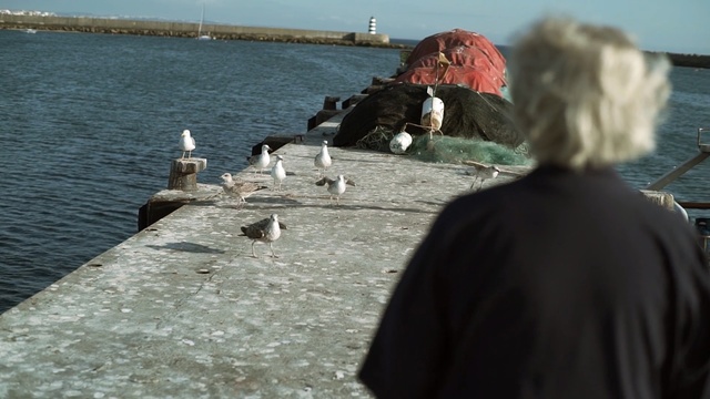 Video Reference N1: Seabird, Bird, Tourism, Sea, Vacation, Rock, Gull, Coast, Person