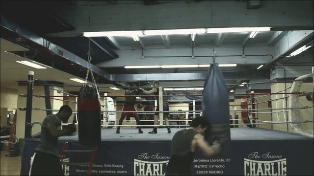 Video Reference N3: Sport venue, Boxing ring, Boxing, Striking combat sports, Contact sport, Individual sports, Room, Combat sport, Boxing equipment, Muay thai, Person