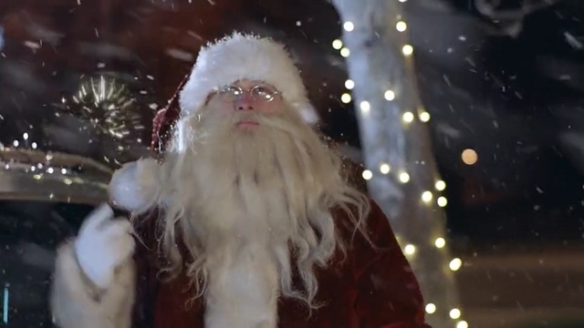 Video Reference N4: Santa claus, Facial hair, Fictional character, Beard, Christmas, Organism, Fur, Holiday, Plant, Person