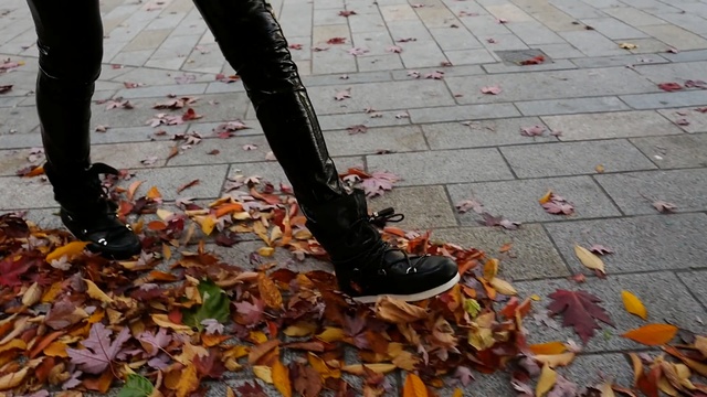 Video Reference N6: autumn, leaf, shoe, tree, Person