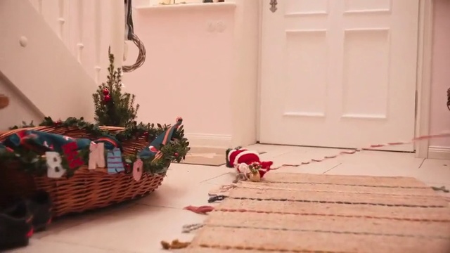 Video Reference N3: Christmas tree, Christmas decoration, Room, Floor, Christmas, Canidae, Non-Sporting Group, Interior design, Puppy, Interior design