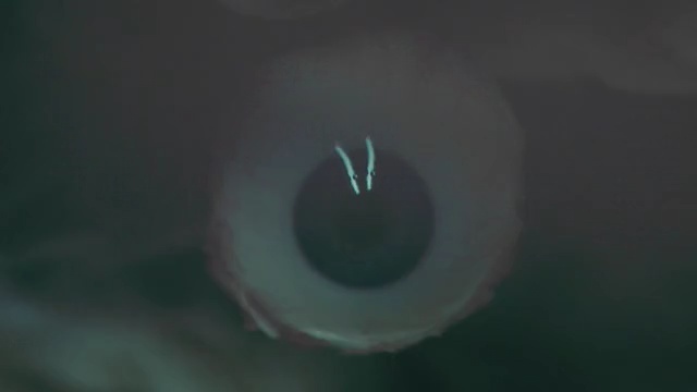Video Reference N1: eye, close up, atmosphere, organism, darkness, computer wallpaper, macro photography, iris