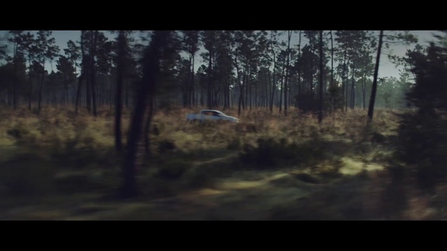 Video Reference N0: Nature, Woodland, Natural environment, Tree, Forest, Wilderness, Wildlife, World rally championship, Morning, Biome