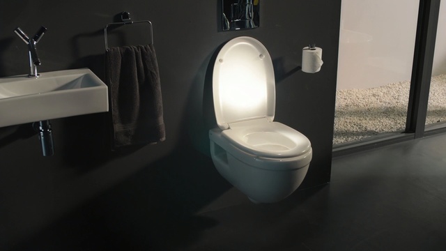 Video Reference N2: toilet, plumbing fixture, toilet seat, bathroom, bidet, public toilet, urinal, sink, floor, angle