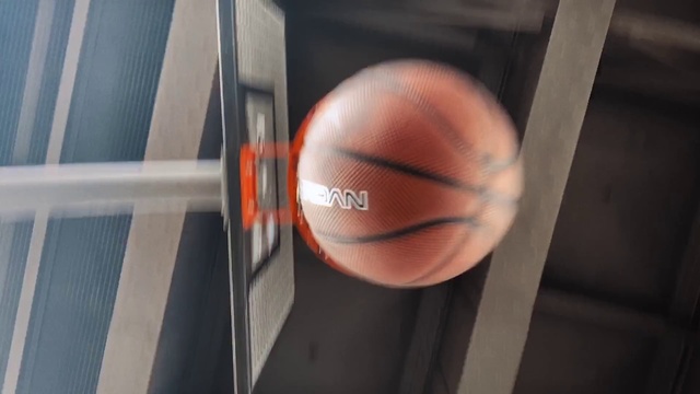 Video Reference N1: Ball