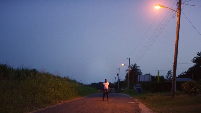 Video Reference N1: sky, road, street light, infrastructure, evening, atmosphere, light, tree, dusk, morning