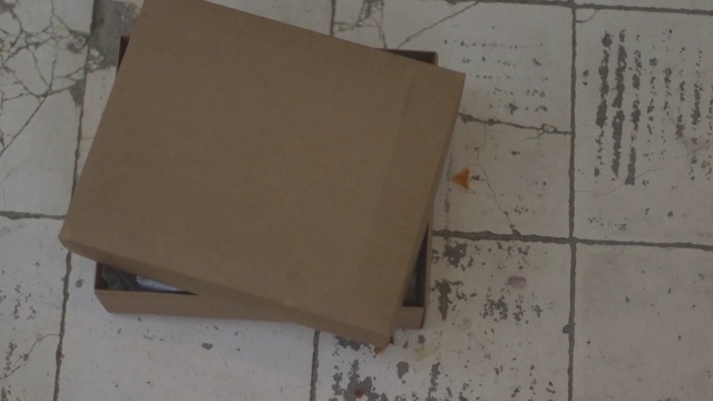 Video Reference N4: Tile, Cardboard, Flooring, Paper product