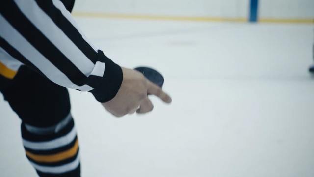 Video Reference N3: ice, ice hockey, sports, shoe, ice skating, winter sport, hand, ice skate, recreation, sportswear