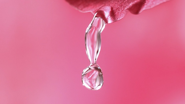 Video Reference N4: pink, macro photography, jewellery, close up, drop, petal, body jewelry, water, magenta, flower