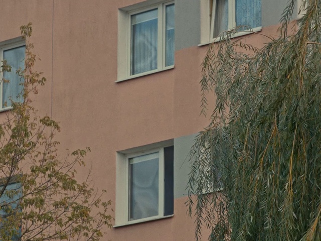Video Reference N7: Wall, Property, Window, Facade, Architecture, House, Tree, Real estate, Neighbourhood, Building
