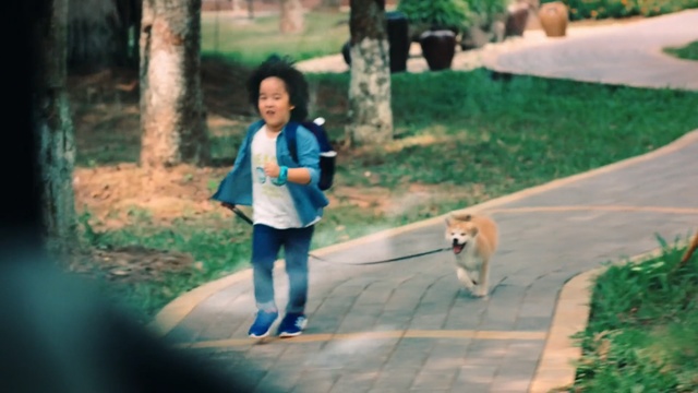 Video Reference N0: Photograph, Green, Canidae, Dog, Snapshot, Walking, Dog walking, Tree, Fun, Companion dog, Person