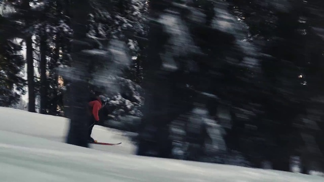Video Reference N7: Snow, Winter, Tree, Snowboarding, Footwear, Recreation, Geological phenomenon, Freezing, Photography, Plant