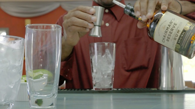 Video Reference N6: drink, alcoholic beverage, liqueur, distilled beverage, cocktail, bottle, gin and tonic, glass, alcohol, barware