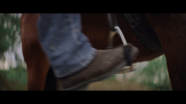 Video Reference N6: Leg, Human leg, Arm, Muscle, Horse, Hand, Footwear, Mouth, Horse tack, Shoe