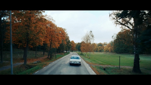 Video Reference N1: Leaf, Road, Tree, Nature, Photograph, Sky, Lane, Mode of transport, Green, Morning