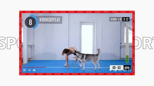 Video Reference N4: Dog, Canidae, Dog breed, Carnivore