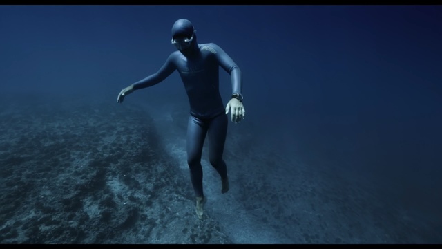 Video Reference N17: water, underwater diving, freediving, underwater, atmosphere, sky, diving, sea, organism, screenshot