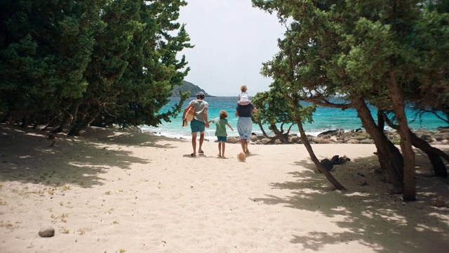 Video Reference N1: Vacation, Beach, Fun, Tree, Summer, Tourism, Shore, Leisure, Sand, Coast
