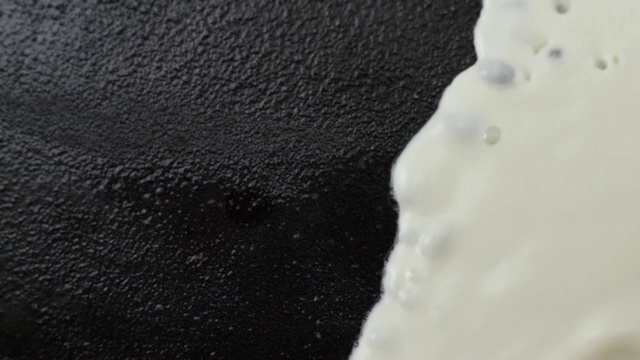 Video Reference N1: White, Black, Water, Black-and-white, Food, Sitting, Small, Table, Close, Little, Covered, Remote, Laying, Cheese