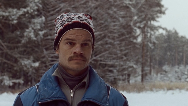 Video Reference N3: winter, snow, freezing, headgear, tree, cap, fun, ice, beanie, Person