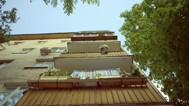Video Reference N1: Architecture, House, Tree, Roof, Wood, Home, Building, Plant, Balcony, Facade