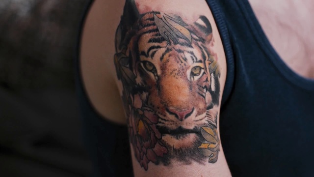 Video Reference N3: Tiger, Bengal tiger, Tattoo, Shoulder, Felidae, Arm, Wildlife, Joint, Big cats, Carnivore