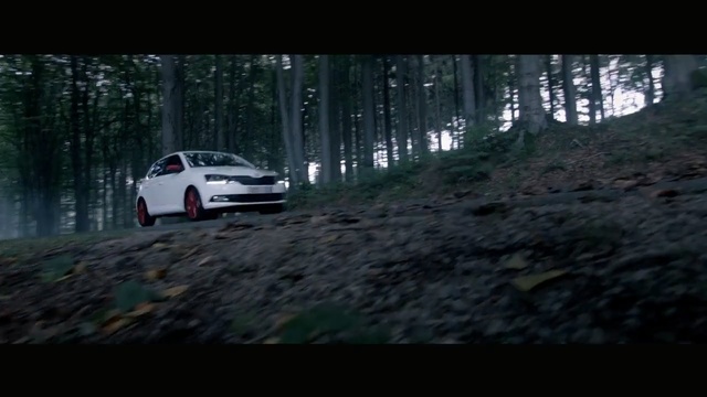 Video Reference N1: car, land vehicle, nature, motor vehicle, vehicle, ecosystem, rallying, world rally championship, mode of transport, automotive design, Person