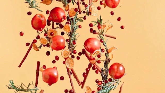 Video Reference N1: Fruit, Plant, Rose hip, Tree, Branch, Illustration, Currant, Hawthorn, Food, Lingonberry