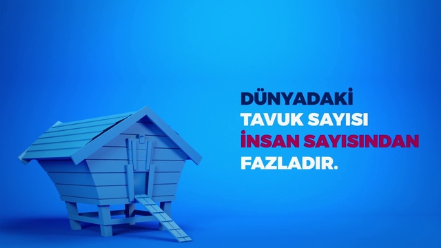 Video Reference N1: Blue, Product, Water, House, Font, Real estate, Architecture, Graphics, Logo, Shed