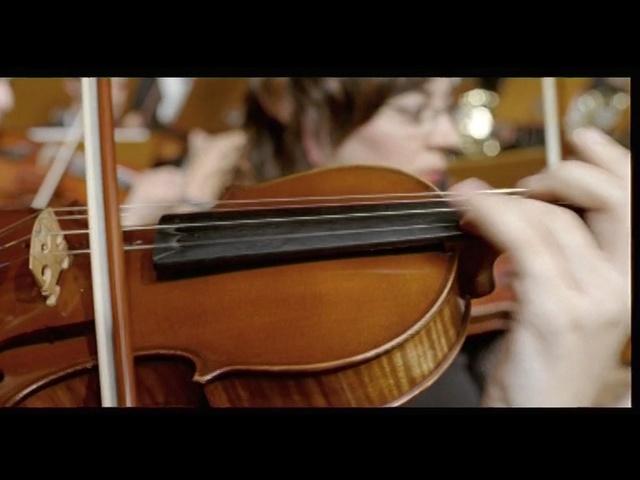 Video Reference N4: String instrument, Musical instrument, String instrument, Violin, Violin family, Bowed string instrument, Music, Viola, Fiddle, Viol, Person