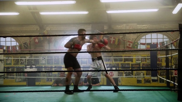 Video Reference N19: Boxing ring, Sport venue, Boxing, Boxing equipment, Professional boxer, Striking combat sports, Professional boxing, Contact sport, Combat sport, Individual sports