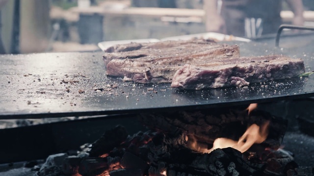 Video Reference N2: Grilling, Barbecue, Ash, Churrasco food, Flesh, Cuisine, Cooking, Barbecue grill, Street food, Outdoor grill