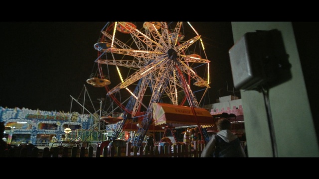 Video Reference N0: ferris wheel, amusement park, amusement ride, tourist attraction, fair, recreation, fun, night, festival, park