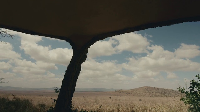 Video Reference N4: Sky, Cloud, Tree, Natural environment, Ecoregion, Savanna, Plain, Woody plant, Landscape, Steppe